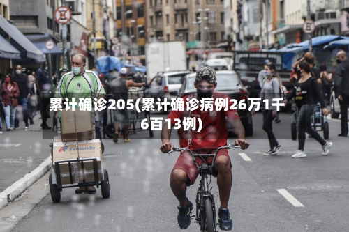 累计确诊205(累计确诊病例26万1千6百13例)-第2张图片