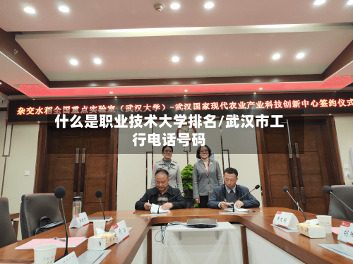 什么是职业技术大学排名/武汉市工行电话号码