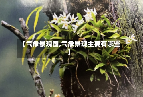 【气象景观图,气象景观主要有哪些】