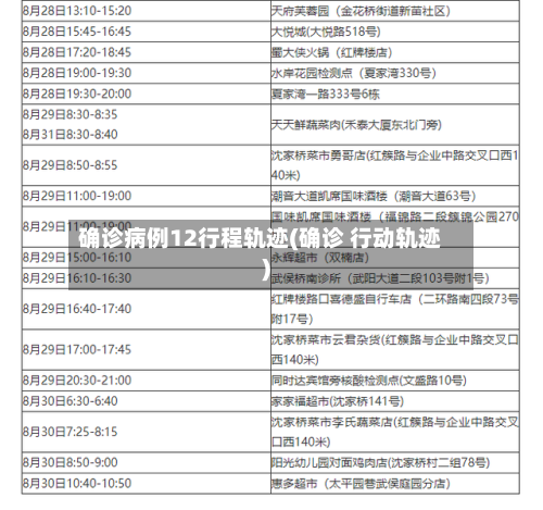 确诊病例12行程轨迹(确诊 行动轨迹)-第2张图片