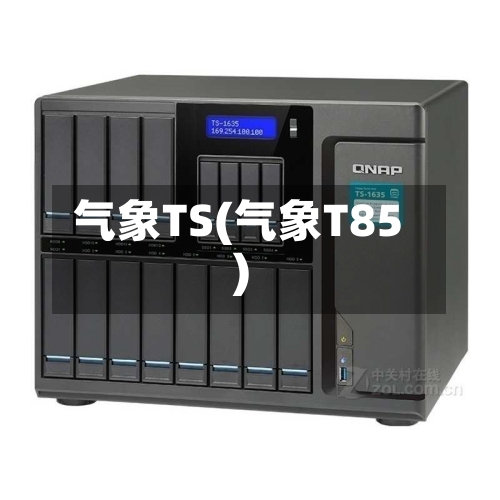 气象TS(气象T85)