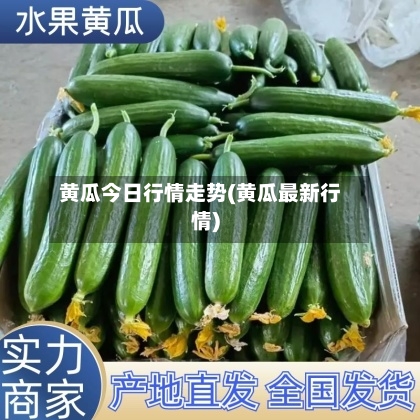 黄瓜今日行情走势(黄瓜最新行情)-第1张图片