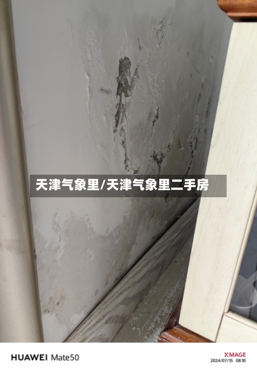 天津气象里/天津气象里二手房-第1张图片