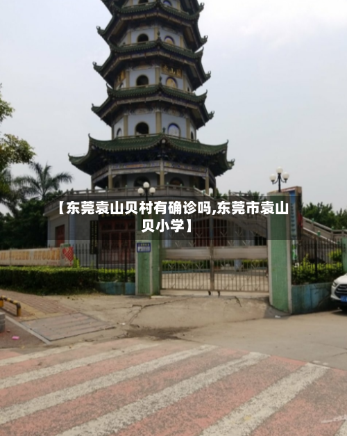 【东莞袁山贝村有确诊吗,东莞市袁山贝小学】