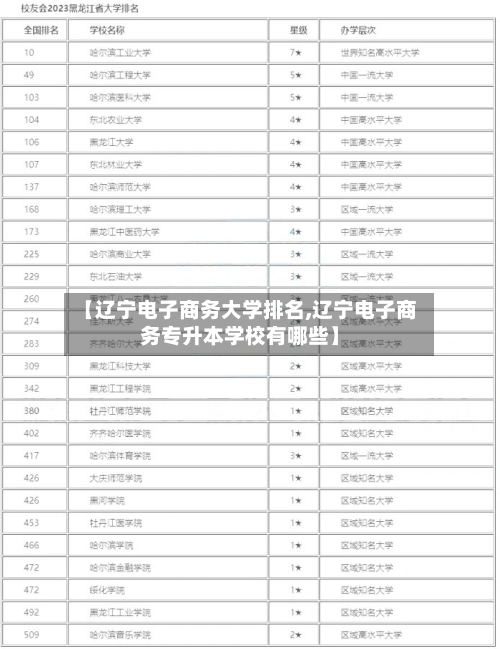 【辽宁电子商务大学排名,辽宁电子商务专升本学校有哪些】-第2张图片