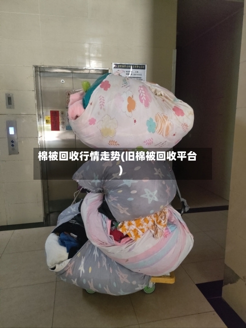 棉被回收行情走势(旧棉被回收平台)-第2张图片