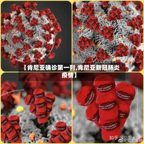 【肯尼亚确诊第一列,肯尼亚新冠肺炎疫情】