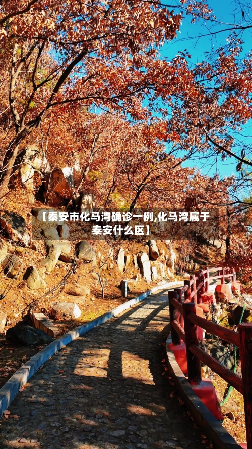 【泰安市化马湾确诊一例,化马湾属于泰安什么区】-第2张图片