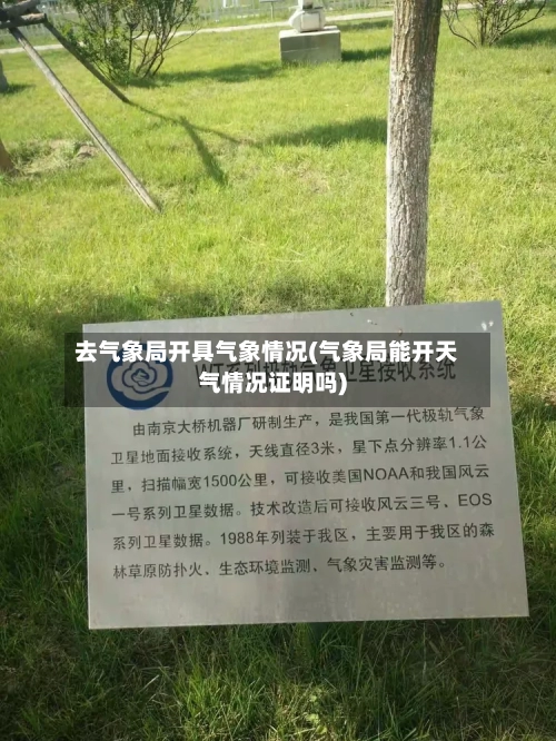 去气象局开具气象情况(气象局能开天气情况证明吗)-第2张图片