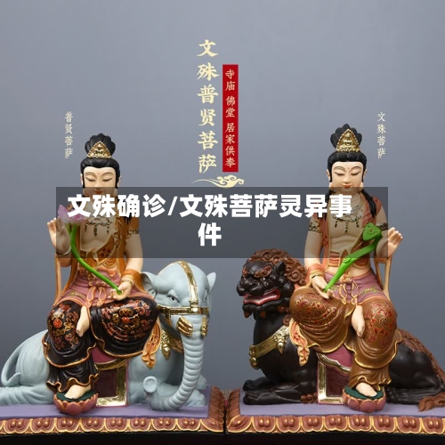 文殊确诊/文殊菩萨灵异事件
