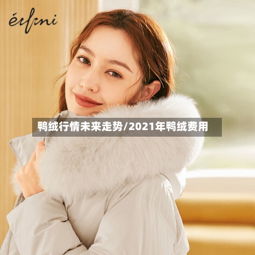 鸭绒行情未来走势/2021年鸭绒费用-第2张图片