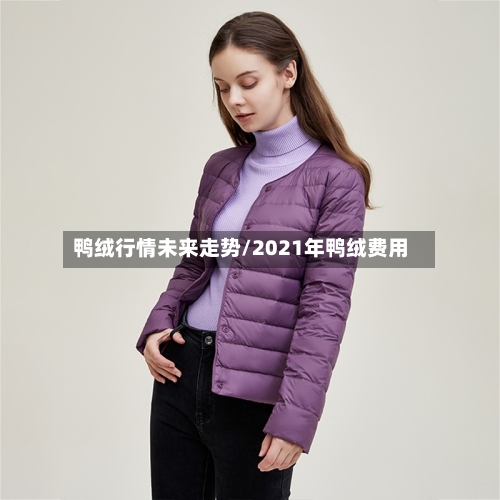 鸭绒行情未来走势/2021年鸭绒费用-第3张图片