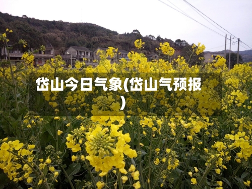 岱山今日气象(岱山气预报)