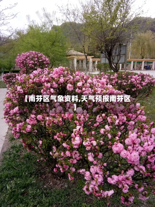【南芬区气象资料,天气预报南芬区】-第3张图片