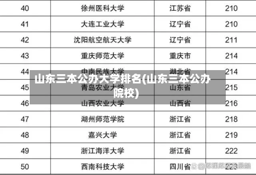 山东三本公办大学排名(山东三本公办院校)-第2张图片