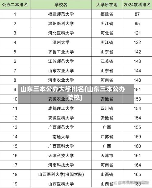 山东三本公办大学排名(山东三本公办院校)-第3张图片