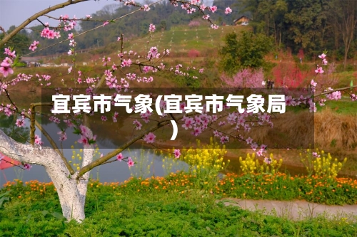 宜宾市气象(宜宾市气象局)