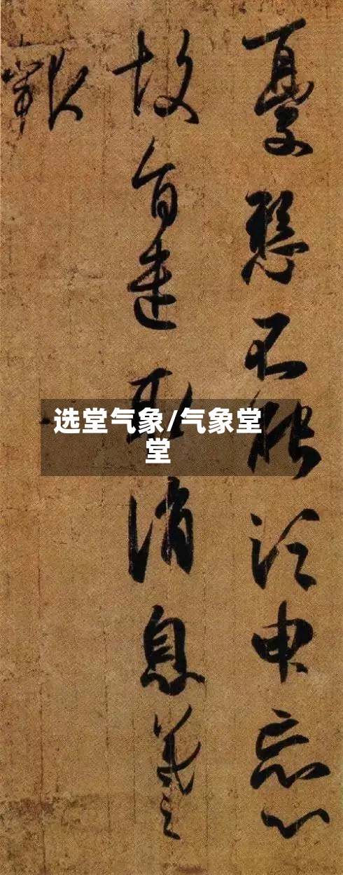 选堂气象/气象堂堂