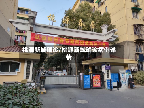桃源新城确诊/桃源新城确诊病例详情-第2张图片