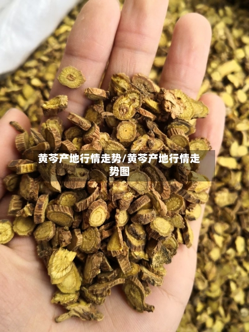 黄芩产地行情走势/黄芩产地行情走势图