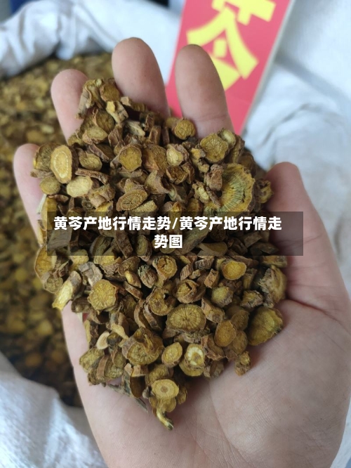 黄芩产地行情走势/黄芩产地行情走势图-第2张图片