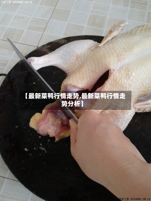 【最新菜鸭行情走势,最新菜鸭行情走势分析】