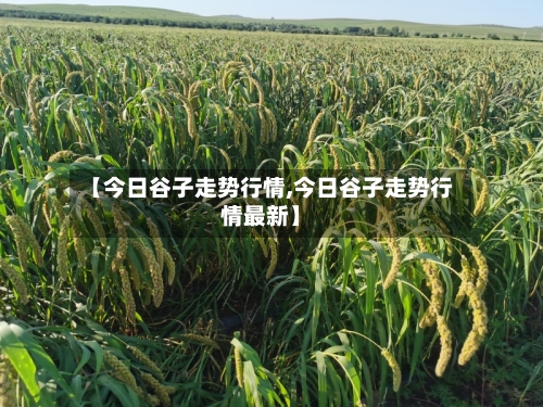 【今日谷子走势行情,今日谷子走势行情最新】