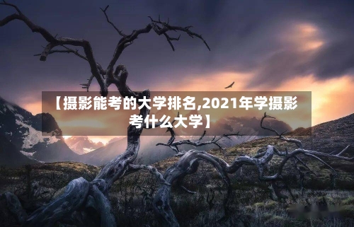 【摄影能考的大学排名,2021年学摄影考什么大学】-第2张图片