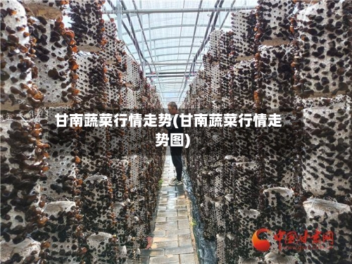 甘南蔬菜行情走势(甘南蔬菜行情走势图)