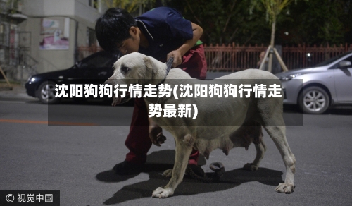 沈阳狗狗行情走势(沈阳狗狗行情走势最新)-第2张图片
