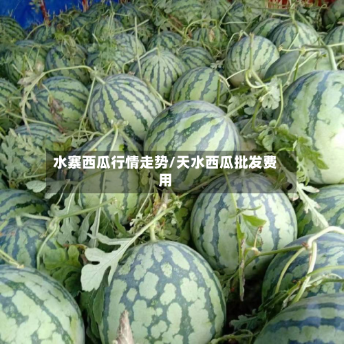 水寨西瓜行情走势/天水西瓜批发费用-第3张图片