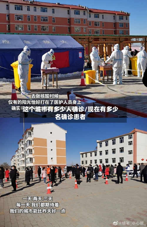 这个城市有多少人确诊/现在有多少名确诊患者