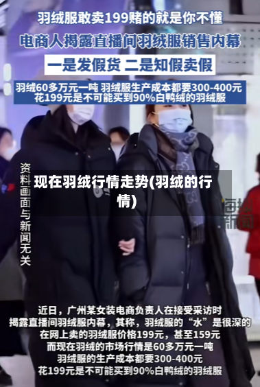 现在羽绒行情走势(羽绒的行情)