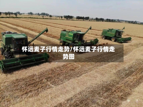 怀远麦子行情走势/怀远麦子行情走势图-第3张图片