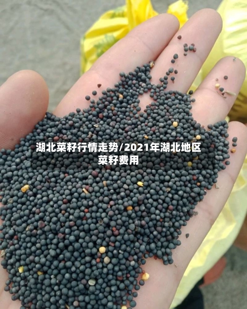湖北菜籽行情走势/2021年湖北地区菜籽费用
