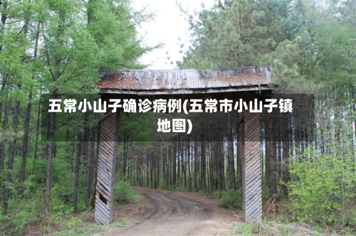 五常小山子确诊病例(五常市小山子镇地图)
