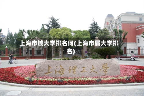上海市域大学排名何(上海市属大学排名)