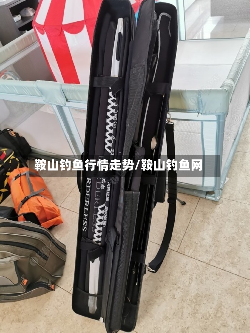 鞍山钓鱼行情走势/鞍山钓鱼网