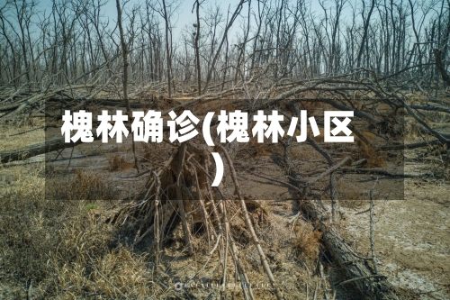 槐林确诊(槐林小区)-第2张图片