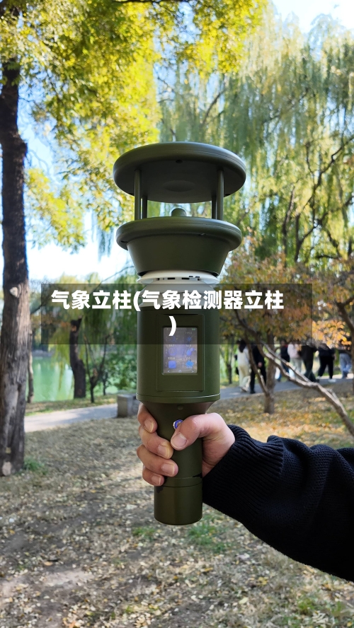 气象立柱(气象检测器立柱)