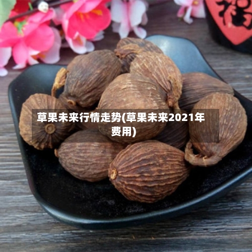 草果未来行情走势(草果未来2021年费用)-第2张图片