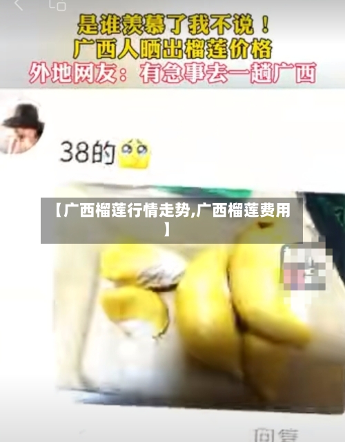 【广西榴莲行情走势,广西榴莲费用】