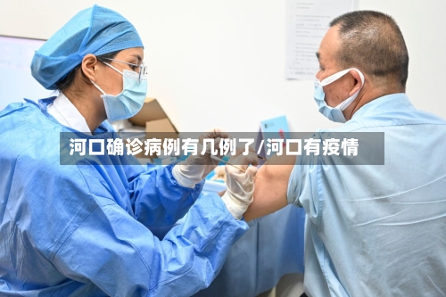 河口确诊病例有几例了/河口有疫情-第2张图片