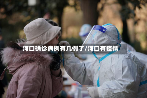 河口确诊病例有几例了/河口有疫情