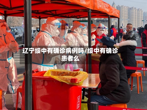 辽宁绥中有确诊病例吗/绥中有确诊患者么-第2张图片