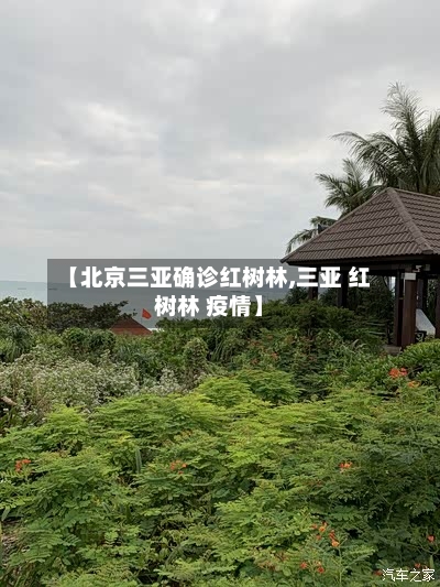 【北京三亚确诊红树林,三亚 红树林 疫情】