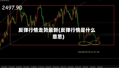 反弹行情走势最新(反弹行情是什么意思)-第3张图片
