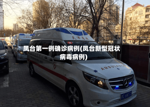 凤台第一例确诊病例(凤台新型冠状病毒病例)-第3张图片