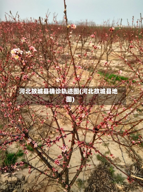 河北故城县确诊轨迹图(河北故城县地图)-第2张图片