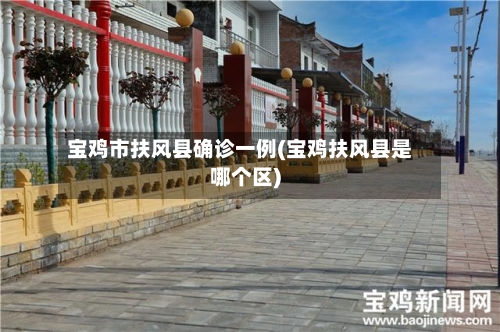 宝鸡市扶风县确诊一例(宝鸡扶风县是哪个区)-第2张图片